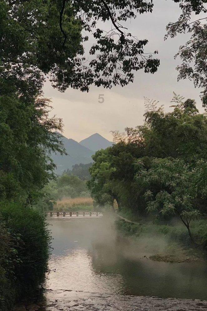 庄月明已经去世31年,李嘉诚每年元旦都会去祭拜,背后有何隐情?