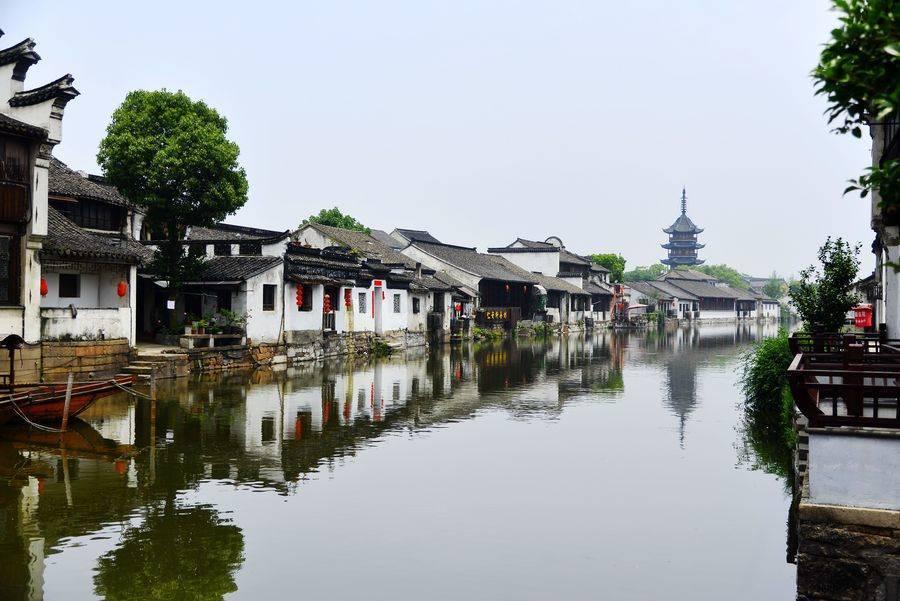 昆明动物园2只猫咪，住进新家